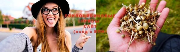 Альфа ПВП Нягань