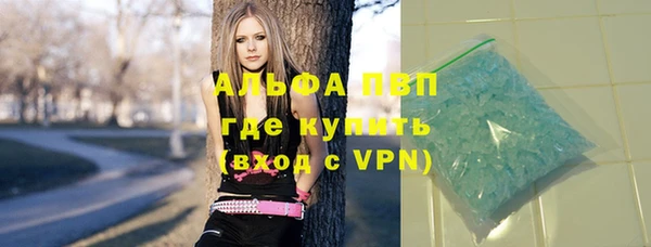 хмурый Верея