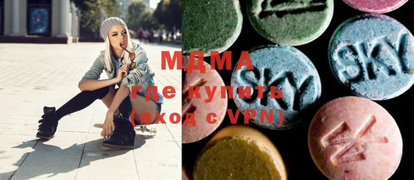 хмурый Верея